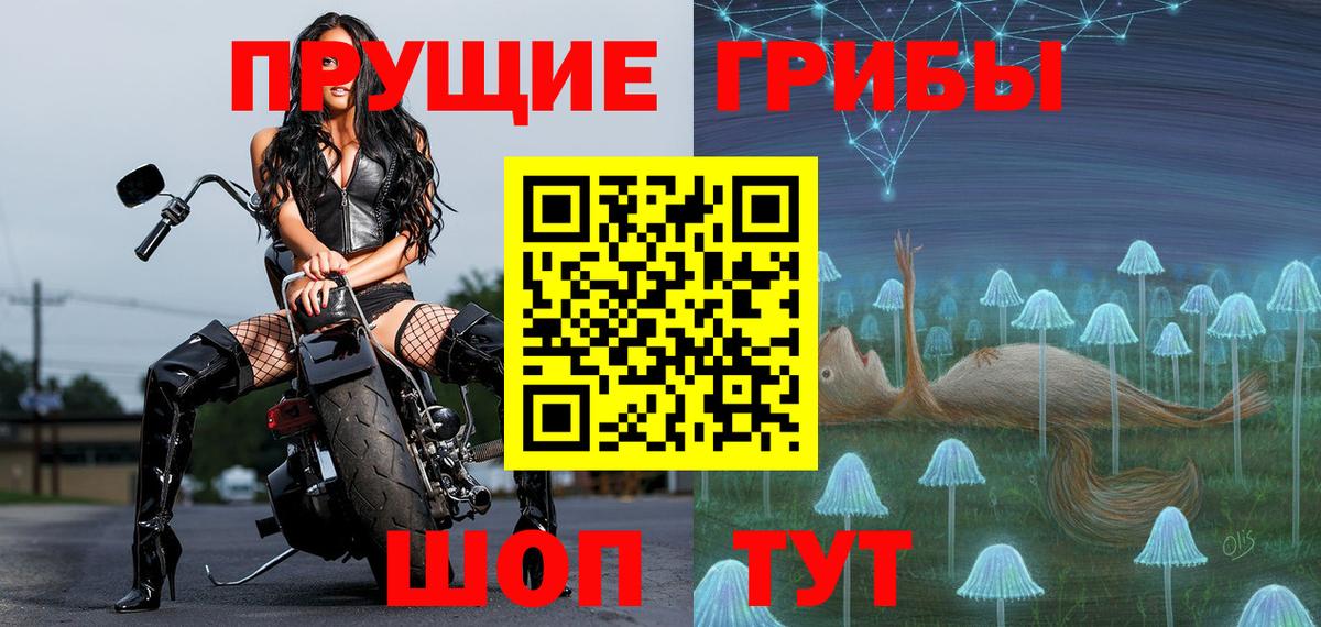 Псилоцибиновые грибы Psilocybe Дедовск